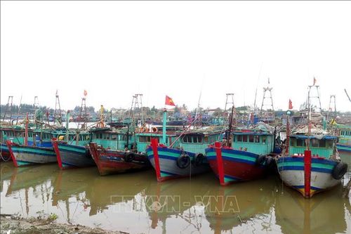Nam Định cấm biển, kêu gọi tàu thuyền vào bờ