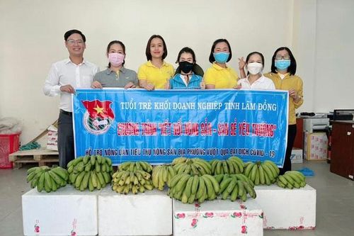 Tuổi trẻ khối doanh nghiệp kết nối tiêu thụ nông sản