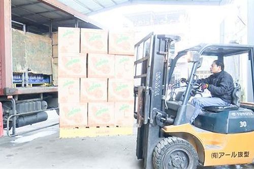 Đông Hà tập trung thực hiện 'mục tiêu kép'