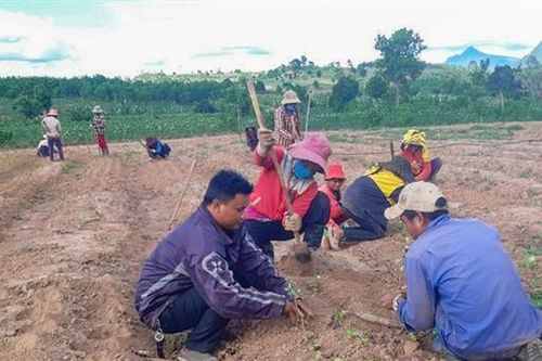 Hồ Văn Khưa - Chủ tịch Hội Nông dân nói được, làm được