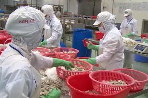 Ngành Nông nghiệp: Sửa văn bản, chính sách và cả 'thái độ' với doanh nghiệp