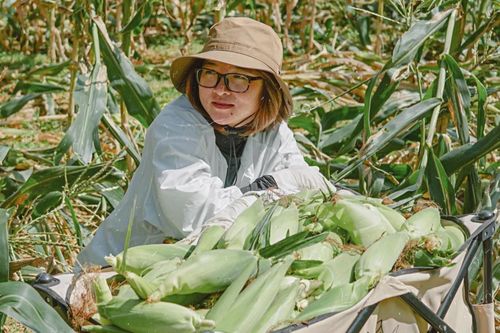 Người Đà Lạt gom rau sạch, gửi tặng người dân TP.HCM
