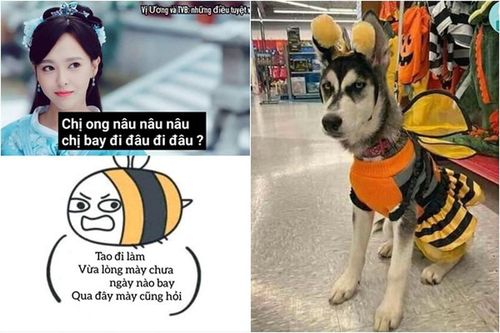 Cơn sốt 'chị ong nâu' chưa hạ nhiệt, netizen tung loạt ảnh chế