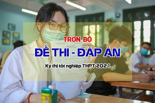 Đáp án đề thi tốt nghiệp THPT 2021 môn Sinh học (tất cả các mã đề)