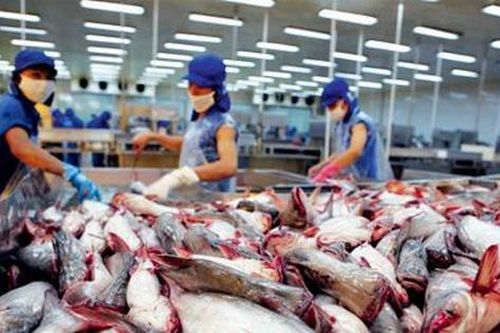 Giả mạo doanh nghiệp thủy sản Na Uy lừa đảo đối tác nước ngoài