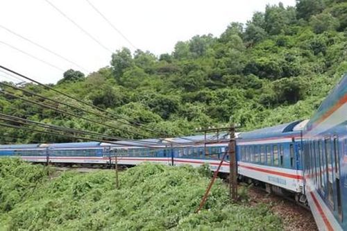 Năm người quốc tịch Trung Quốc nhảy khỏi toa tàu khi bị phát hiện