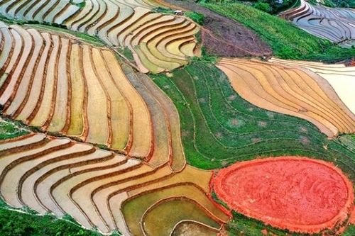 Xốn xang 'kỳ quan' ruộng bậc thang Phong Dụ Thượng, Yên Bái
