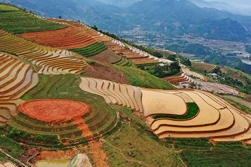 Ruộng bậc thang mới nổi ở Yên Bái thu hút giới trẻ