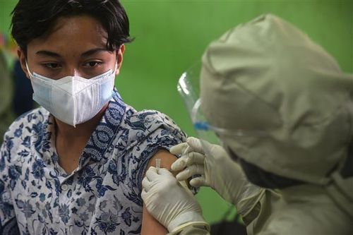 Người dân Indonesia đổ xô mua thuốc ký sinh trùng để chữa COVID-19