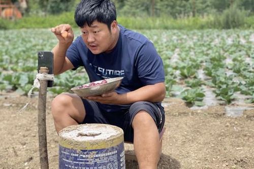 Streamer nông dân Trung Quốc kiếm triệu USD mỗi tháng