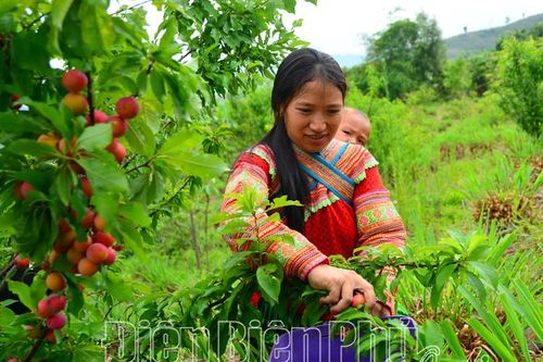 Khơi dậy ý chí thoát nghèo