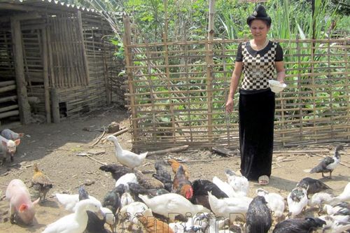 Ðiện Biên Ðông giảm nghèo chưa bền vững