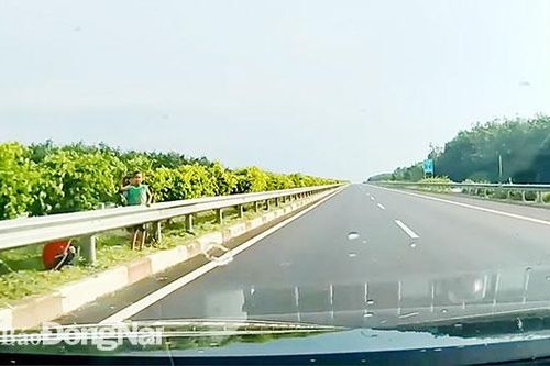 Ngăn chặn hành vi ném đá vào ô tô trên đường cao tốc