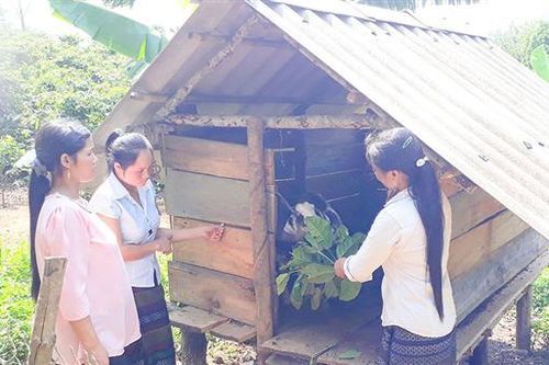 Hiệu quả mô hình Nhóm tiết kiệm vốn vay thôn bản ở Hướng Hóa