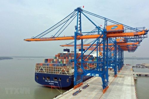 Cước phí hàng xuất khẩu: 'Vùng tối' của các hãng tàu biển nước ngoài?