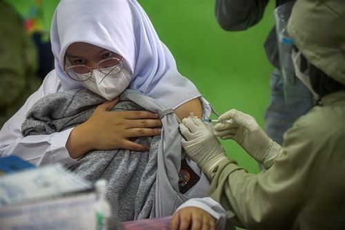 Indonesia sẽ tiêm vaccine COVID-19 mũi thứ ba cho nhân viên y tế