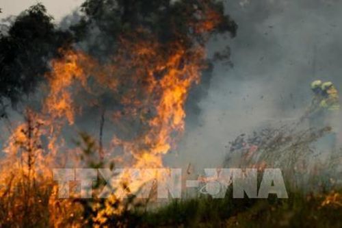 Có nên bỏ bắn pháo hoa tại những nước thường xảy ra cháy rừng?