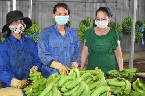 Phát triển vùng DTTS - bước chuyển đáng kể