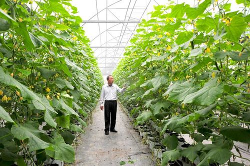 Đảng bộ mạnh nhờ học tập làm theo Bác Hồ