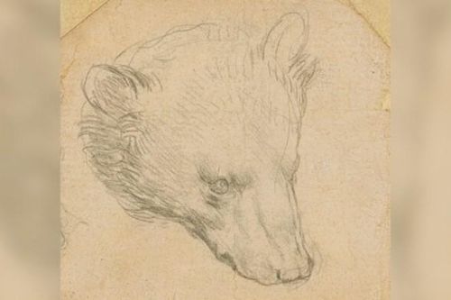 Bức phác họa 'Đầu gấu' của Leonardo Da Vinci sắp được rao bán với mức giá kỷ lục