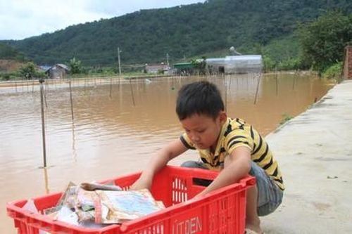 Lâm Đồng: Mưa lớn nhấn chìm hơn 100 hec ta rau, hoa màu