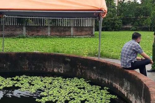 Hà Nội: Phát hiện thi thể người phụ nữ dưới giếng nước
