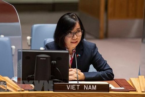 Việt Nam kêu gọi xử lý thách thức tại châu Phi