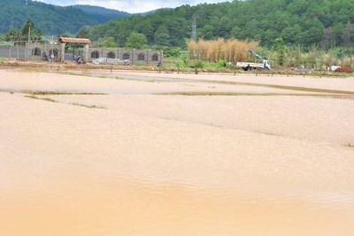Mưa lũ gây thiệt hại nặng tại Lâm Đồng