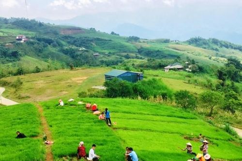 Mù Là - Điểm đến hấp dẫn dịp cuối tuần