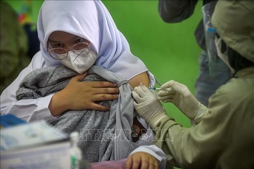 Indonesia sở hữu 120 triệu liều vaccine