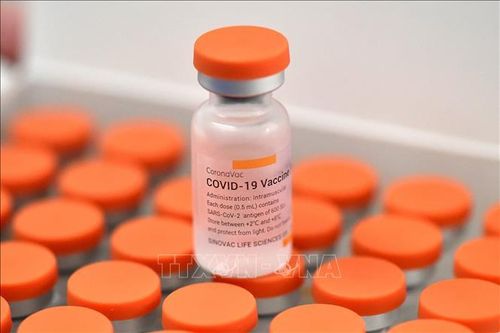 Campuchia nhận thêm 4 triệu liều vaccine ngừa COVID-19