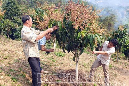 Thu hút đầu tư vào nông nghiệp