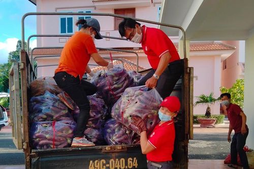 Hội Chữ thập đỏ Lâm Đồng vận động hàng chục tấn rau, củ, quả tặng bà con vùng dịch