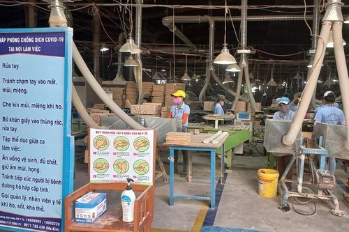 Mô hình khép kín giữ vững sản xuất trong mùa dịch ở Quảng Ngãi