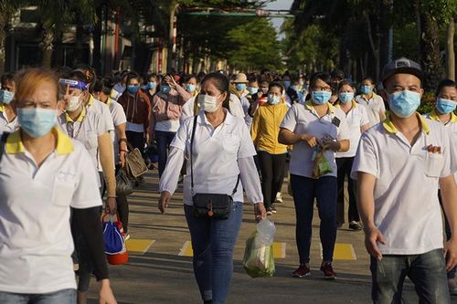 Long An tạm dừng hoạt động của doanh nghiệp để rà soát phương án '3 tại chỗ'