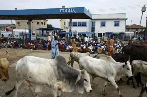Nigeria: Các tay súng tấn công 5 ngôi làng, xả súng sát hại 35 người