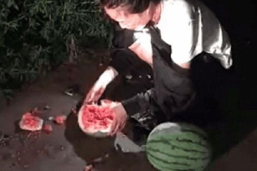 Bắt quả tang 'nữ tặc' trộm dưa hấu vào đêm khuya, chủ vườn đưa ra hình phạt khiến kẻ trộm sợ tới già
