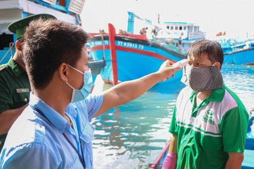 Ninh Thuận: Phòng, chống dịch COVID-19 ở cảng cá