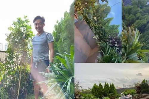 Cận cảnh sân thượng như khu vườn nhiệt đới, tự tay chăm sóc mỗi ngày của Cường Đôla