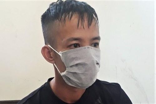 Giám đốc công ty bất động sản cầm đầu đường dây trộm cây cảnh