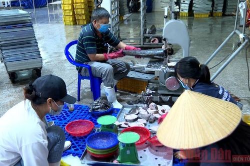 Hỗ trợ thực phẩm cho người dân TP Hồ Chí Minh và Bình Dương