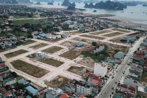 Vi phạm về quản lý, sử dụng đất đai: Phó Giám đốc Sở Tài nguyên và Môi trường Quảng Ninh bị kỷ luật