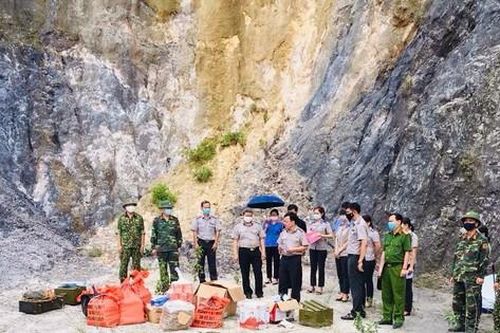 Thái Nguyên: Tiêu hủy vật chứng là ma túy, vật liệu nổ