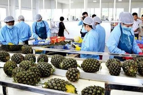 Hơn 30 công nhân Lào Cai nghi bị ngộ độc thực phẩm sau khi dùng bữa chiều