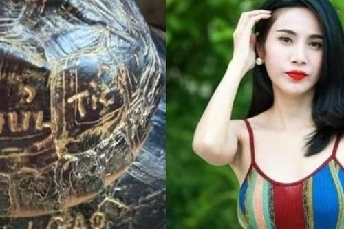 'Gia đình Thủy Tiên khắc tên lên mai rùa để phóng sinh' gây tranh cãi trên mạng xã hội