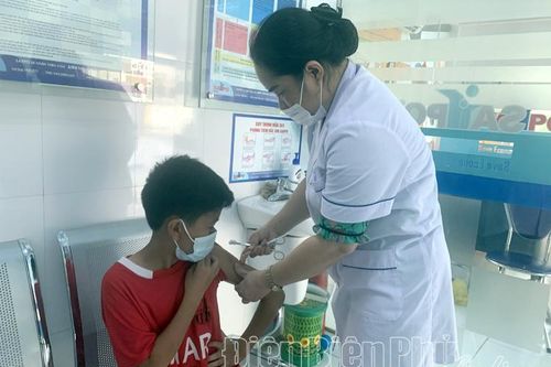 Phòng chống bệnh dại trong mùa hè