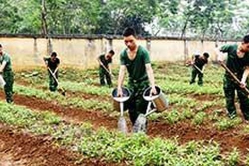 'Thực túc, binh cường' ở Tiểu đoàn Huấn luyện – Cơ độngTin khácGia đình nhiều thế hệ: Lưu giữ, phát huy các giá trị văn hóa truyền thốngChương trình 'Tiếp sức mùa thi': Nhân lên những hành động đẹp