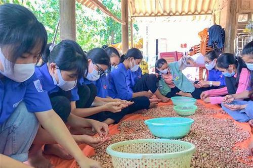 Nhiều suất quà quê từ vùng 'rốn lũ' gửi vào Thành phố Hồ Chí Minh