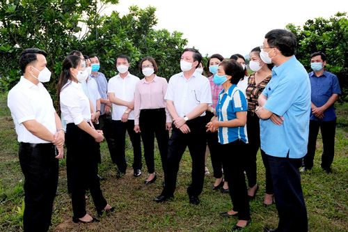Khảo sát, đánh giá thực hiện Nghị quyết số 26 về nông nghiệp, nông dân, nông thôn tại Tuyên Quang