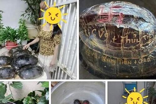 Tên Thủy Tiên và Công Vinh được khắc lên mai rùa phóng sinh, cư dân mạng chỉ trích vì hành động gây nguy hiểm tới loài vật này